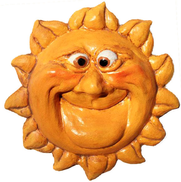 T10 Sun Mask