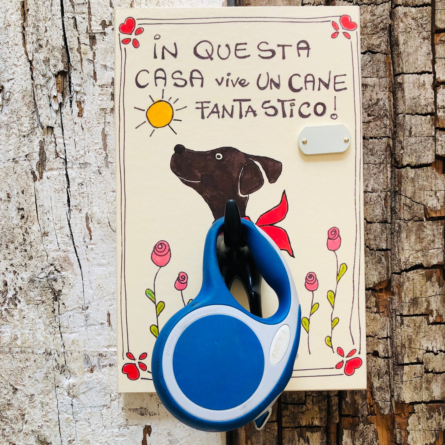 Hang Leash